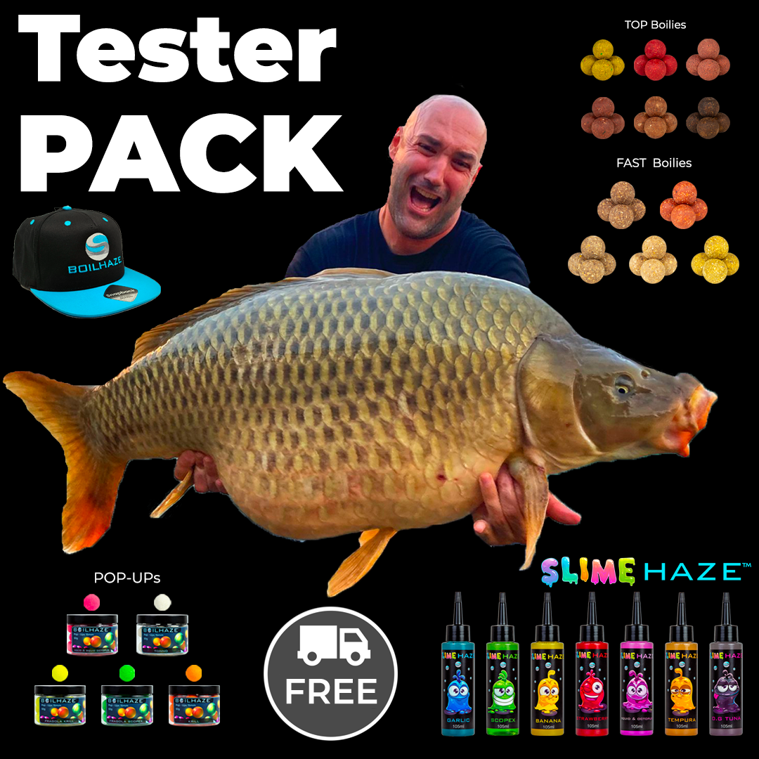 BOILHAZE™ Tester PACK 2023